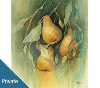 Pears hanging on a branch