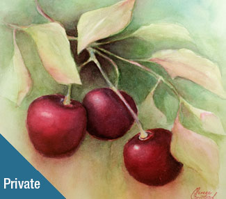 Cherries on a branch