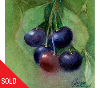 Bunch of cherries