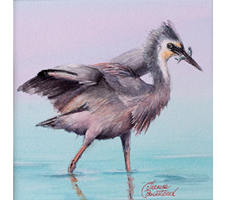 Heron walking in the shallows
