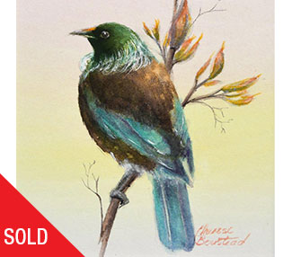 tui resting on a branch