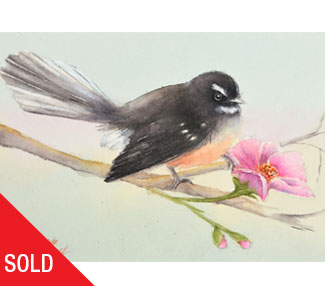 Softly Fantail