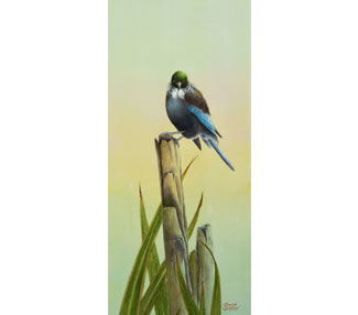 Balanced (Tui)