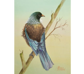 Resting Tui