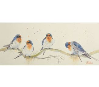 Young Swallows
