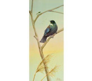 Tui View
