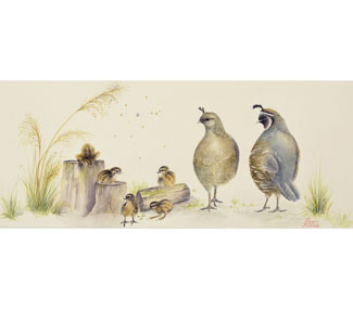 Quail Family Dynamics