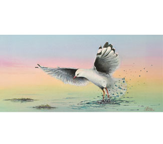Splash landing