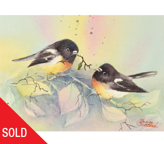 Courtship (Miromiro)
