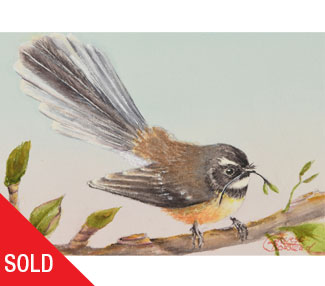 Fantail on a branch