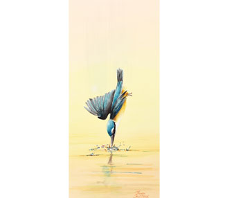 Bird diving into the water