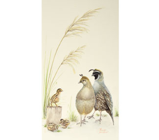 Quail chick on a tree stump with the family surrounding it