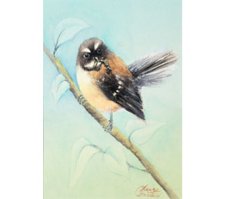 Fantail on a branch with food in its beak