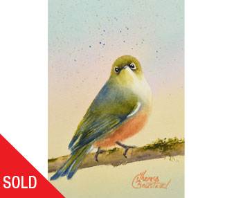 TB277-observing waxeye bird