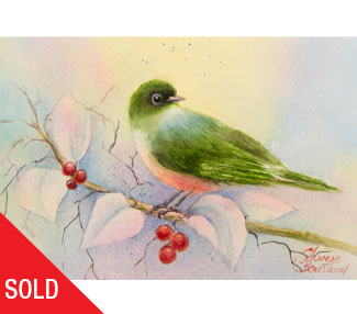 TB331-waxeye bird