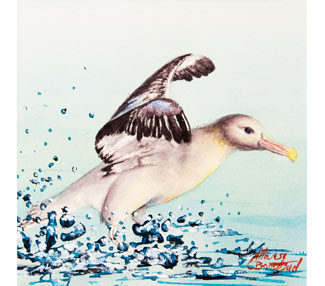 TB336-taking-off