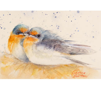 TB345-young-swallows