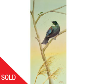 TB289 Tui on a branch